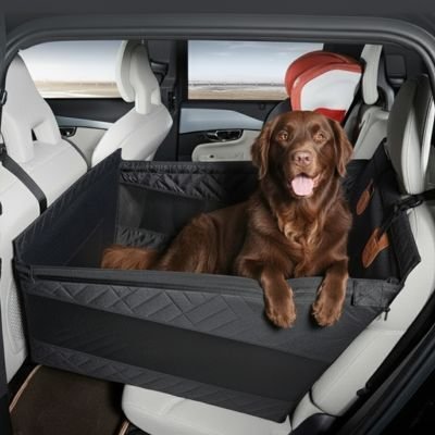 Siege auto pour chien | SécuriTravel