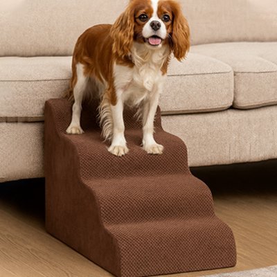 Escalier pour chien | PetMobility