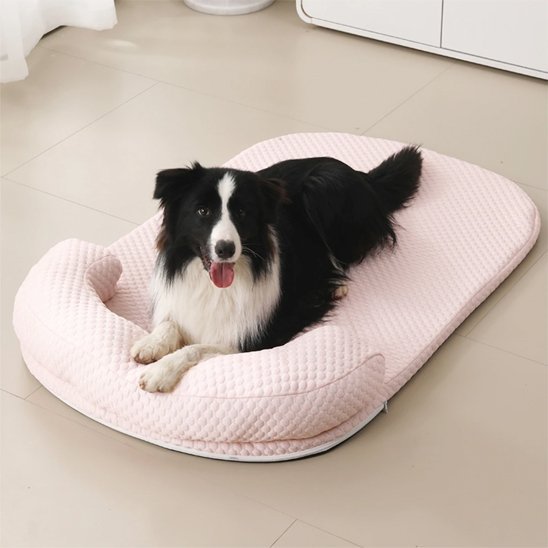 Tapis rafraichissant chien | Ergonomique