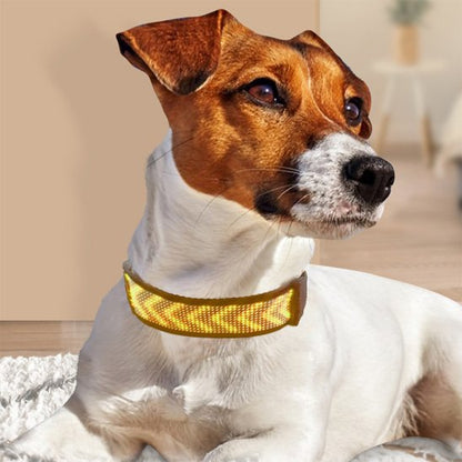 Collier lumineux chien | VisioNight