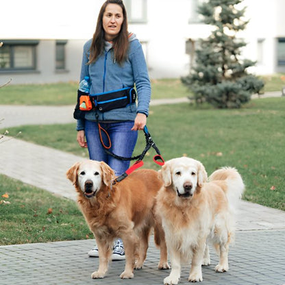 Double laisse pour chien | Twin Walk