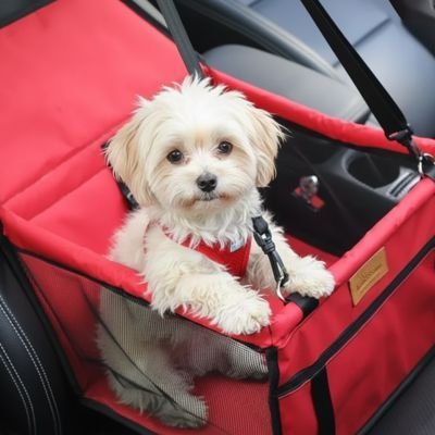 Siege auto pour chien | Sécurité Premium