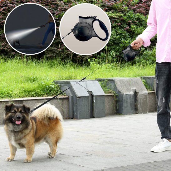 Laisse pour chien | Innovation Lumière