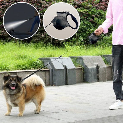 Laisse pour chien | Innovation Lumière