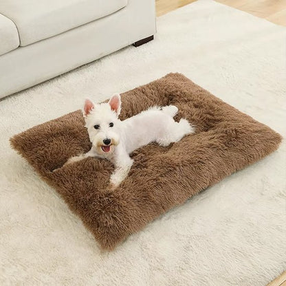 Coussin pour chien | ComfortElite