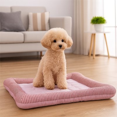 Tapis rafraichissant Chien | CoolComfort