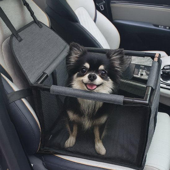 Siege auto pour chien | SecuriPaws