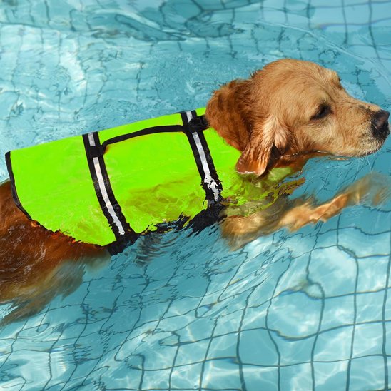Gilet de sauvetage Chien | SafeAqua