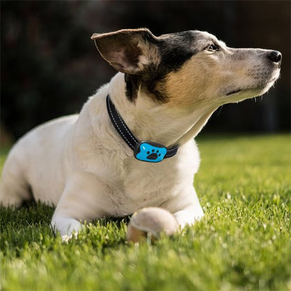 Collier de dressage pour Chien | Sérénité Sonore