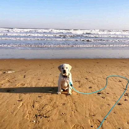 Longe pour chien | FlexiLongueur