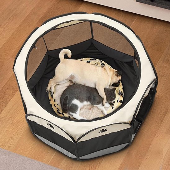 Parc pour chien | Parc Chien Mesh Respirant