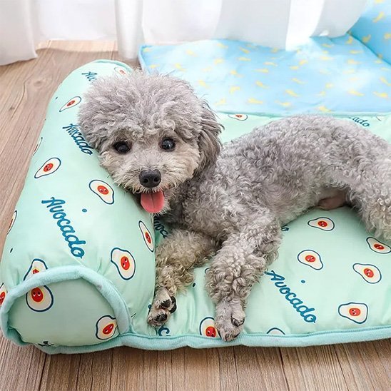 Tapis rafraichissant chien | CoolPet