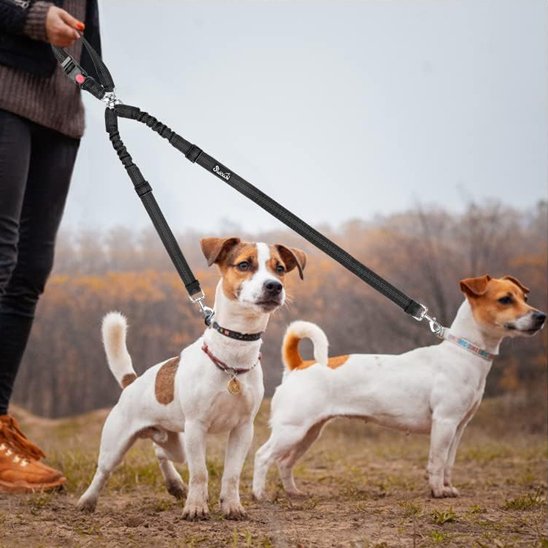 Double laisse pour chien | Duo Polyvalent