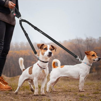 Double laisse pour chien | Duo Polyvalent