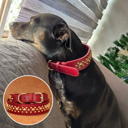 Collier chien | Élégance Clouté