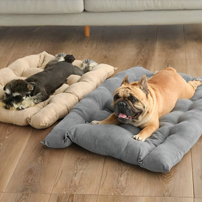 Coussin chien | Orthopédique Confort