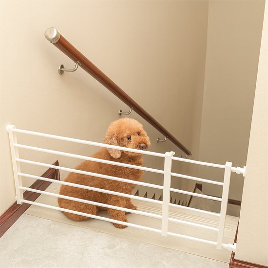 Barrière chien | Adaptable & Sécurisée