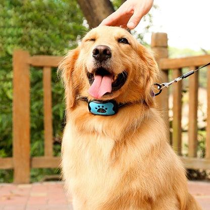 Collier de dressage pour Chien | Sérénité Sonore