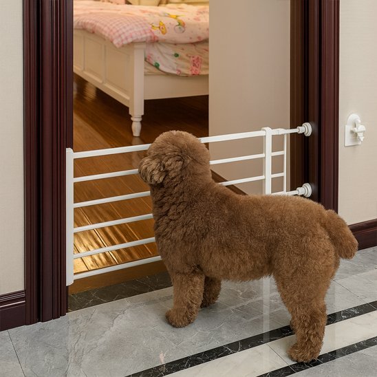 Barrière chien | Adaptable & Sécurisée