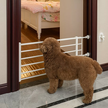 Barrière chien | Adaptable & Sécurisée