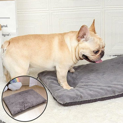 Tapis pour chien | Confort Peluche