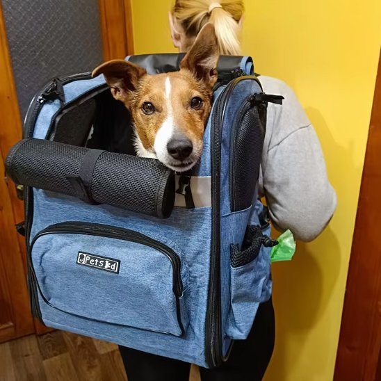 Sac de transport pour chien | DogPack Adventure