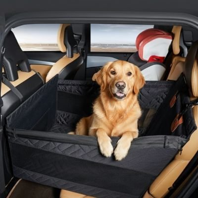 Siege auto pour chien | SécuriTravel