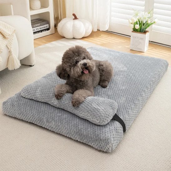Lit pour chien | DCouchage design pour chiens