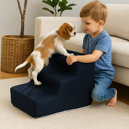 Escalier pour chien | Comfort Senior