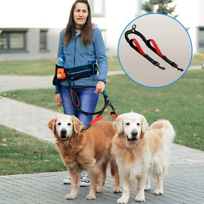Double laisse pour chien | Twin Walk