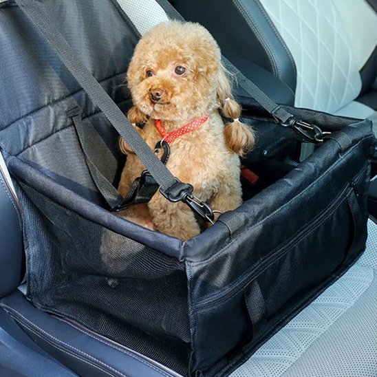 Siege d'auto pour chien | Harnais Intégré