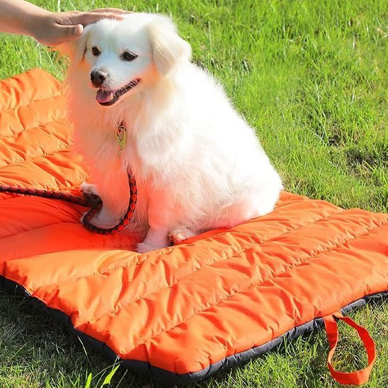 Tapis pour chien | Confort Lavable