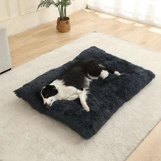 Coussin pour chien | ComfortElite
