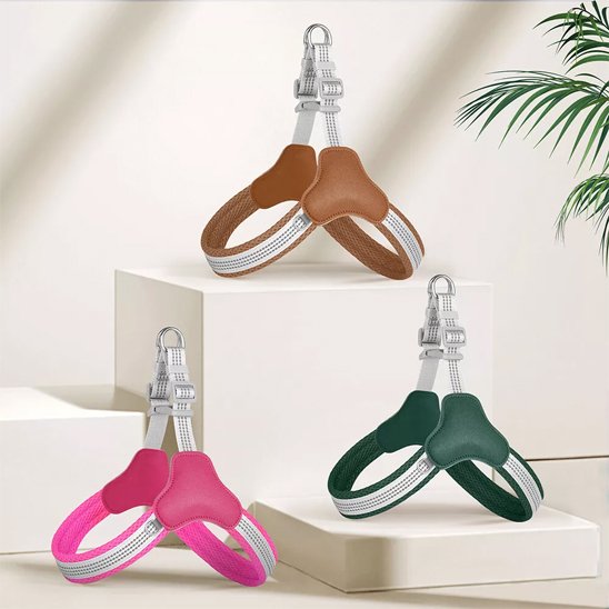 Harnais pour chien | Sans Pression