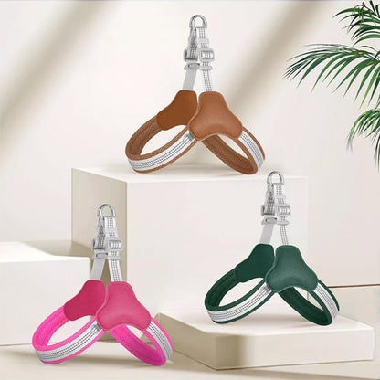 Harnais pour chien | Sans Pression