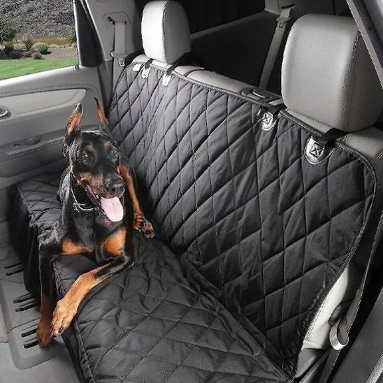 Protection Voiture Chien | Voyage serein