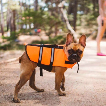 Gilet de sauvetage Chien | SafeAqua