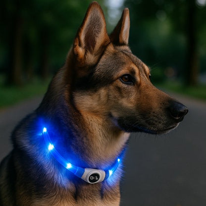 Collier lumineux chien | Collier LED Sécurité Nocturne pour Chien