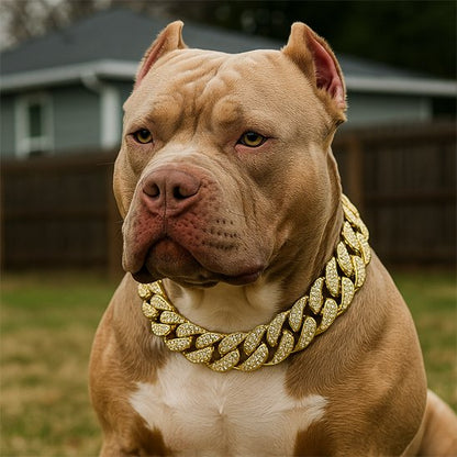 Collier pour chien | Urban Luxe