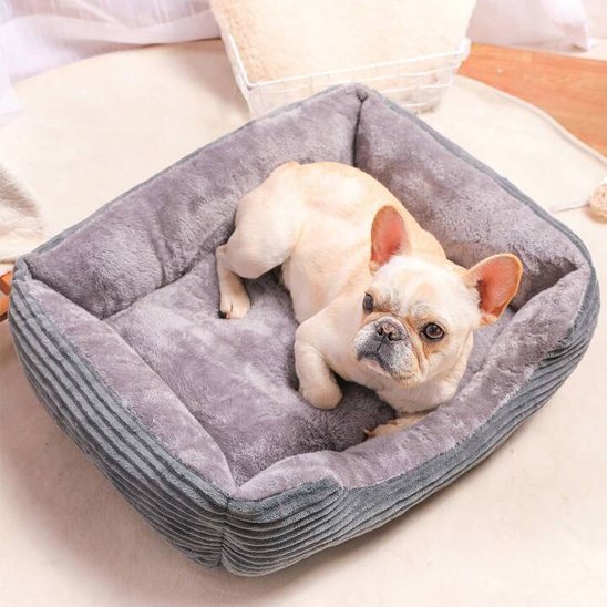 Panier pour chien | DreamNap