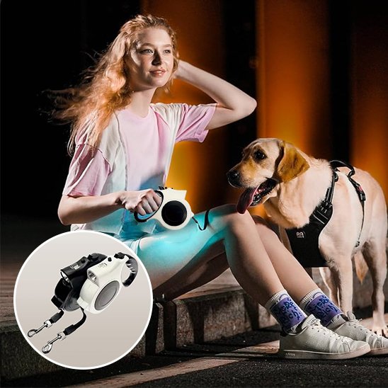 Laisse pour chien | Innovation Lumière