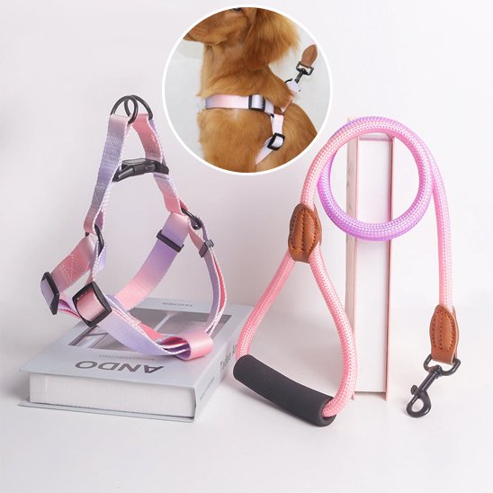 Harnais pour chien | Harmonie Élégante