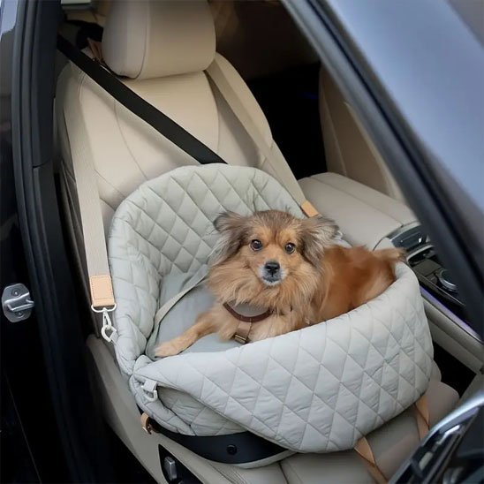 Sac de Transport pour Chien | LuxeRide Carrier