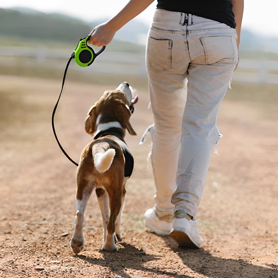 Laisse pour chien | FreedomLine