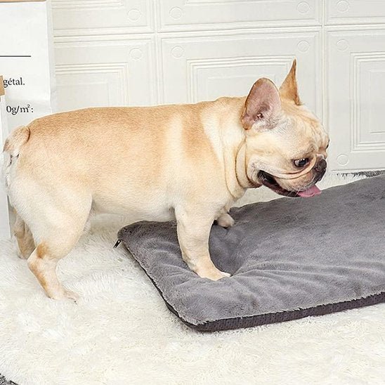 Tapis pour chien | Confort Peluche