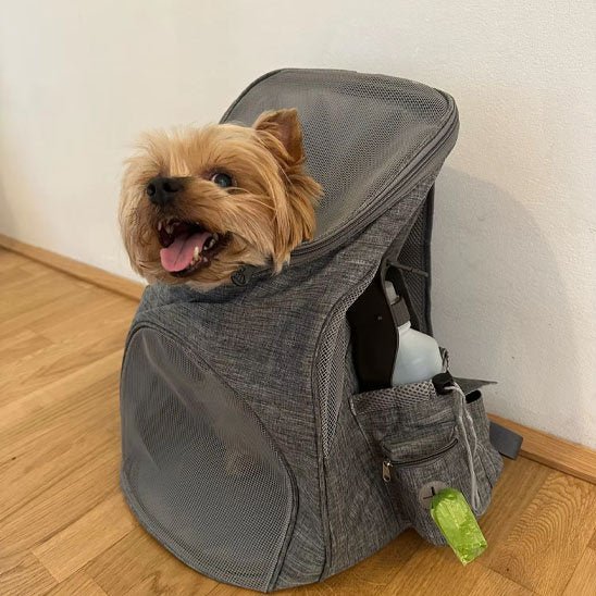 Sac à Dos pour Chien | ATrailBlazer Carrier