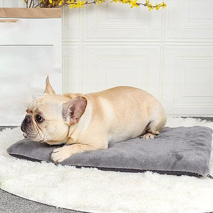 Tapis pour chien | Confort Peluche