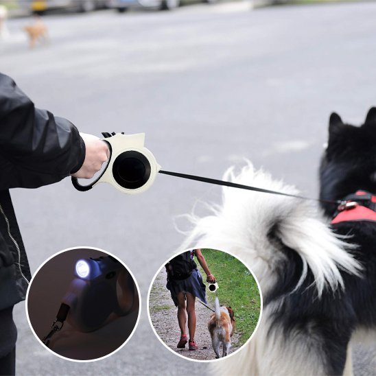Laisse pour chien | Innovation Lumière