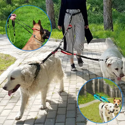 Double laisse pour chien | Twin Walk