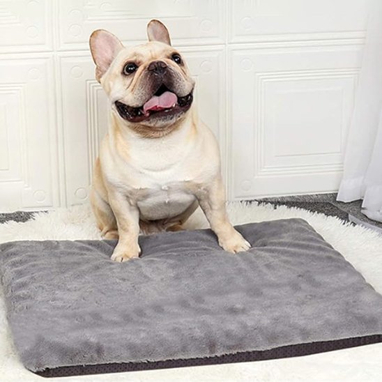 Tapis pour chien | Confort Peluche
